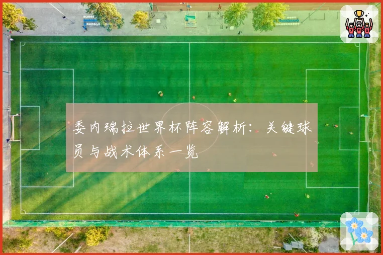 委内瑞拉世界杯阵容解析：关键球员与战术体系一览