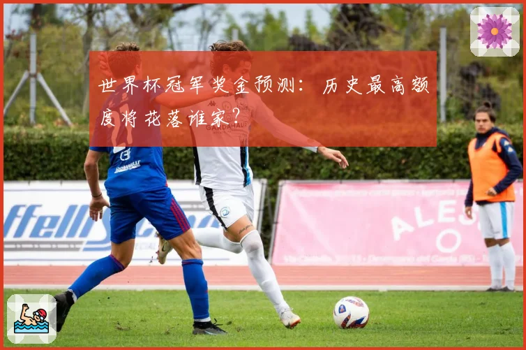 世界杯冠军奖金预测:历史最高额度将花落谁家?